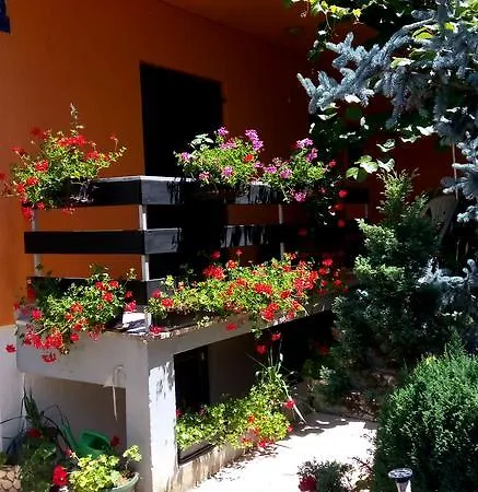 Zoranka Porec