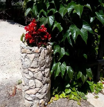 Guest house Zoranka