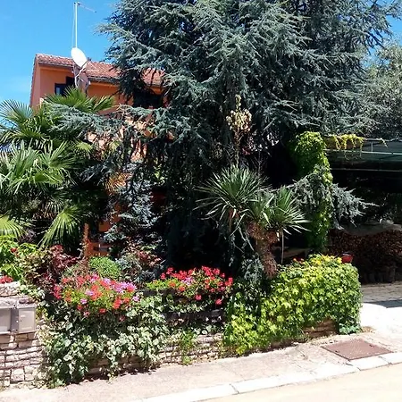 Guest house Zoranka 3*