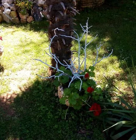 Guest house Zoranka 3*