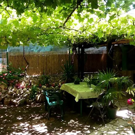 Guest house Zoranka 3*