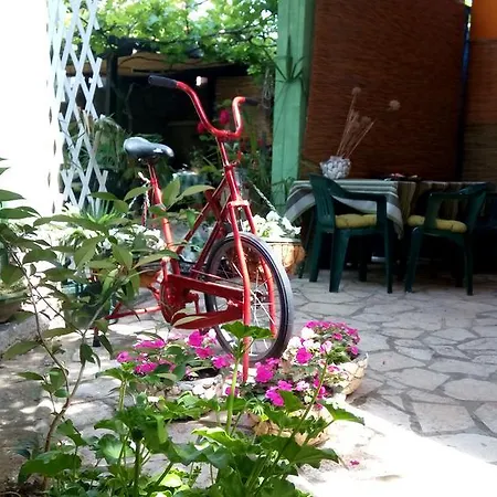 Zoranka Porec