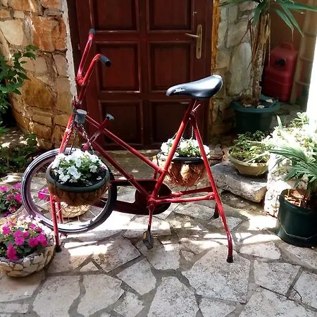 Guest house Zoranka 3*