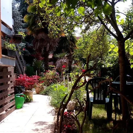Zoranka Porec