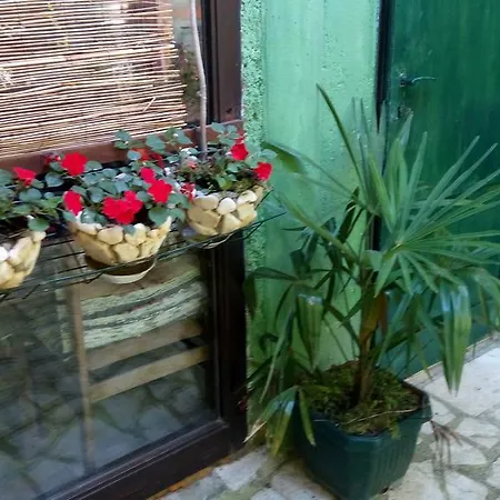 Guest house Zoranka