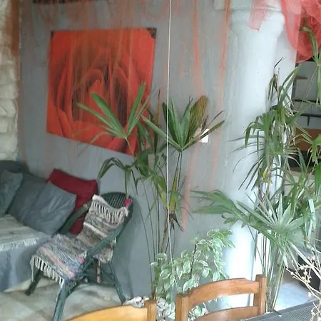 Guest house Zoranka 3*